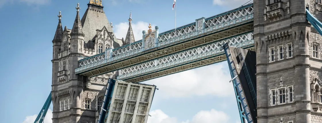 Westminster and Tower Bridge Private Walking Tour