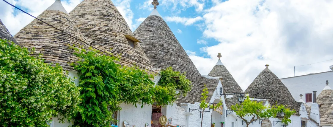 Guided Visit to Alberobello from Polignano a Mare with Transfer