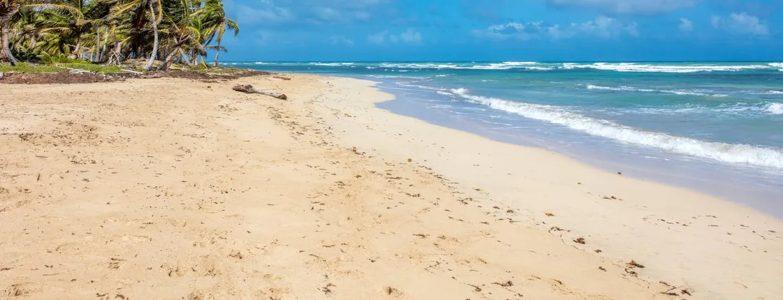 Private half-day safari Eco Caribe