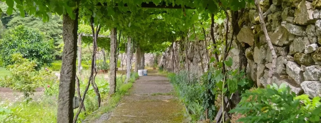 Vinho Verde private tour with gourmet lunch