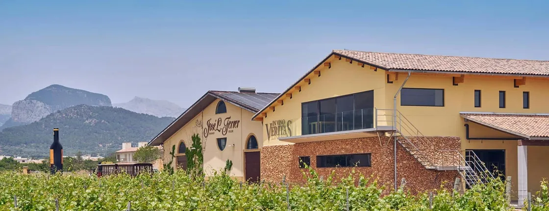 Winery tour and wine tasting at Bodega Jose Luis Ferrer in Majorca