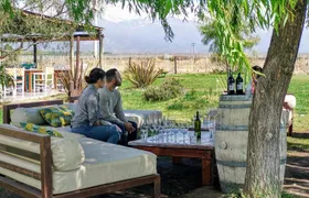 Uco Valley Wineries Day with Private Driver