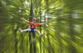 Wetland Zip Tour