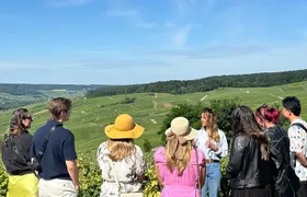 Reims: Small-Group Champagne Tour with Champagne Tastings and Lunch