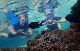 Snorkelling tour in Portugal