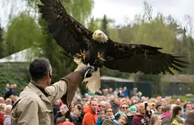Weltvogelpark Walsrode bird park day ticket