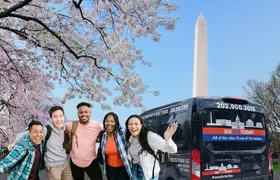  See DC In A Day: Guided Small Group Ultimate Day Tour 