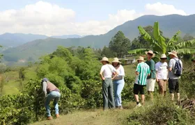 Traditional Colombian coffee tour from Salento