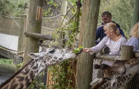 Admission to Brevard Zoo in Melbourne