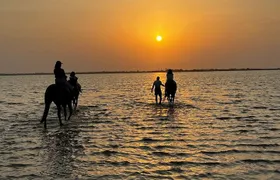 Private Horse Riding Experience at Red Sea