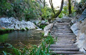 Samos island tour from the west with wine-tasting
