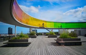 Explore Aarhus in 60 minutes with a Local