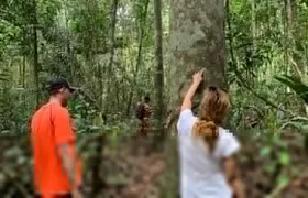 A Whole Day in the Jungle