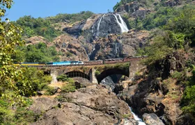 Dudhsagar Waterfall Tour from Goa with Spice Garden and Lunch