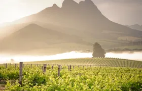 Vine Hopper: Hop-On Hop-Off Wine Tour - Northern Route