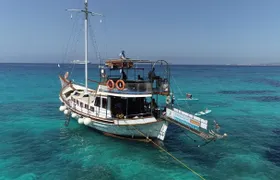 Azure cruise in Kefalonia with hidden beaches, Greek lunch and optional transfer