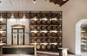 Marsala Oenological Tour With Food and Wine Tasting