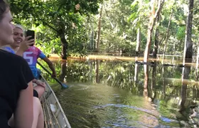 Amazon Jungle Experience with Overnight
