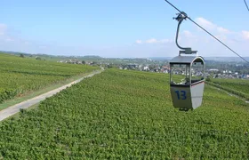 Rudesheim Private Walking Tour With A Professional Guide