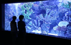 Antalya Aquarium with Shuttle