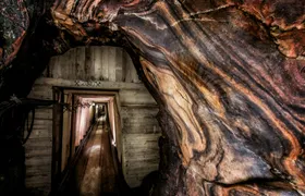 Altaussee salt mine entrance ticket with guided tour and app