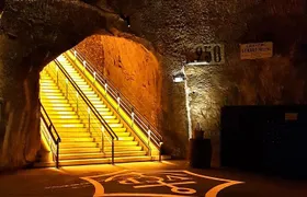 Private tour: Full Day Veuve Clicquot to Reims or Epernay region 