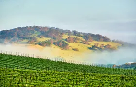 Self-Guided Driving Audio Tour of Sonoma and Napa Valley