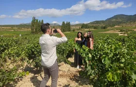 Full-day La Rioja wine tour and visit to Laguardia from Vitoria
