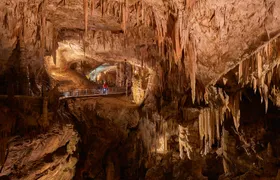 Day trip to Postojna Cave and Predjama Castle from Koper