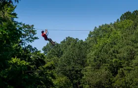Ziplining and Climbing at The Adventure Park at Virginia Aquarium