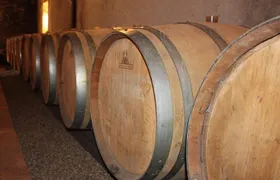 From Angers - Anjou Vineyards in Minivan