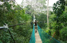 Jungle Eco Jungle And Adventure - 4 Days / 3 Nights