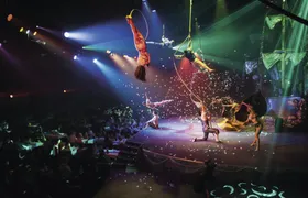 Pirates adventure dinner show in Majorca with transfer