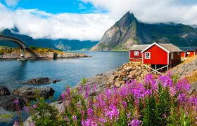 Svolvaer: Lofoten Gems Photo Tour - Reine, Hamnøy & Å