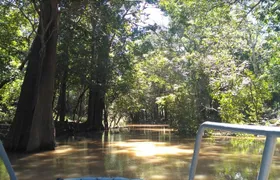 4 Days Amazon Jungle Adventure Tour