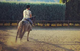 Kavala Area Tour with Equestrian Club and Wax Museum Visit
