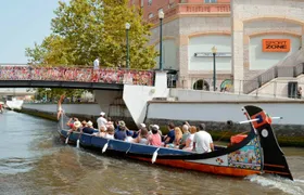 Guided boat tour through Aveiro