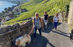 Vine Stories: Lavaux & Lutry wine walk