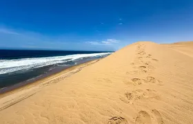 Sandwich Harbour Adventure: Seals and Sandwich harbour dune drive