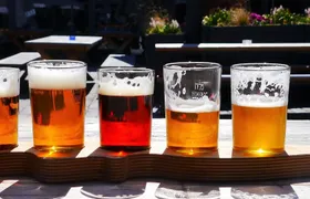 Self-Guided Pub Trail, Scavenger Hunt and City Walk in Amersfoort