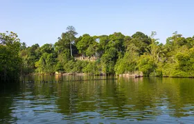 Madampe Ganga boat safari