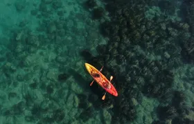 WWF Kayak Tour from Cala Manbrù to Torre Salsa Reserve