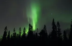 Northern Lights snowshoe nature walk