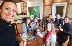 Small Group Rheingau Vineyards Tour with Castles and Abbeys