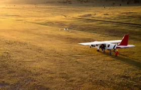 Wineglass Bay and Maria Island wildlife scenic flight tour with lunch