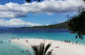 Full-day Oslob whale shark and Sumilon sandbar