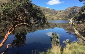 Cajas Unveiled: A Half-Day Escape from Cuenca