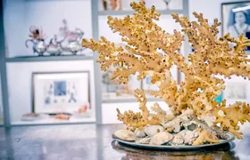 Coral Workshop Experience with a Visit to the Museum in Sciacca