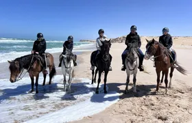 Horseback Riding Adventure to Discover Dakhla's Nature