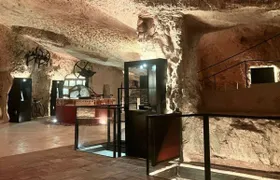 Hypogeum olive mill tour and oil tasting in Martina Franca